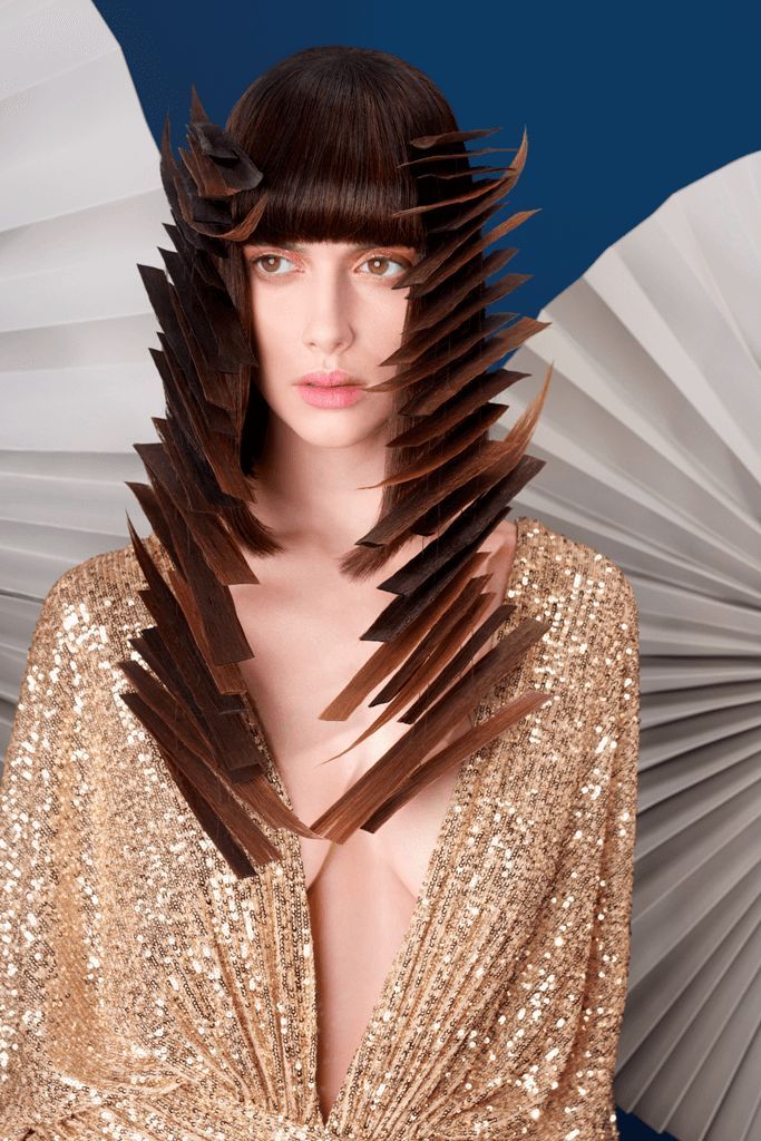 Art de la coiffure précision