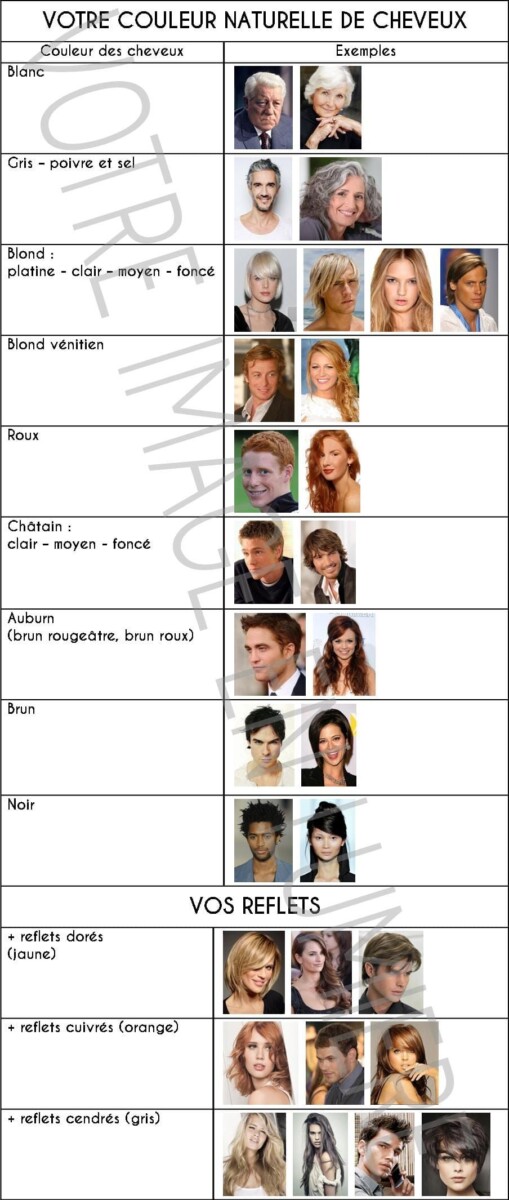Palette coloration cheveux conseil