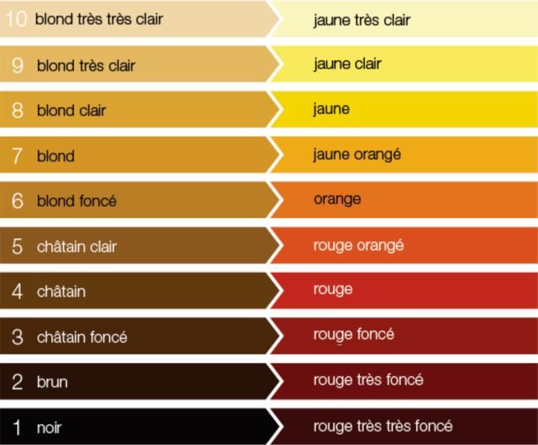 Palette coloration cheveux conseil