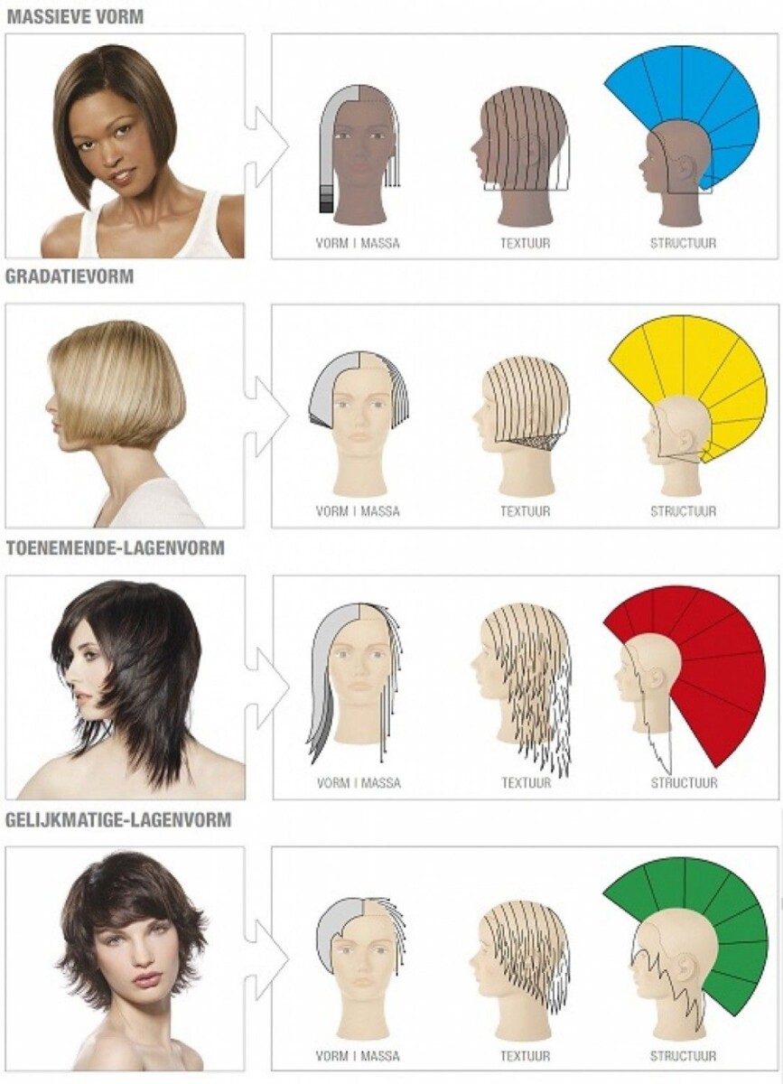 Simulateur coupe de cheveux application