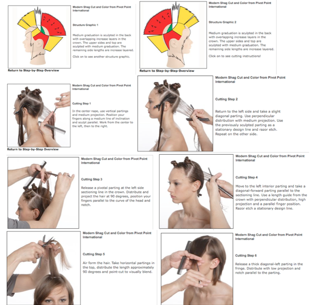 techniques de coiffure